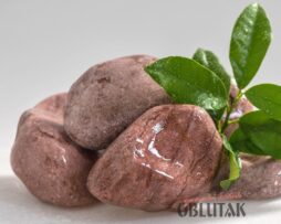 CRVENI OBLUTAK “VINČA”